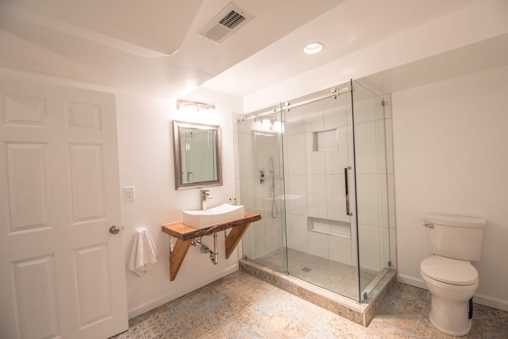 Dunwoody Bathroom Remodel in Basement with Custom Shower